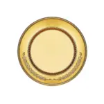 درع على شكل طبق